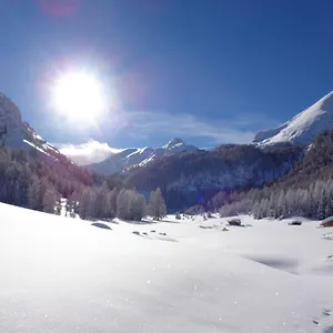 Albe Rocca Pietore